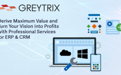 Top 3 Benefits of Greytrix Professional Services