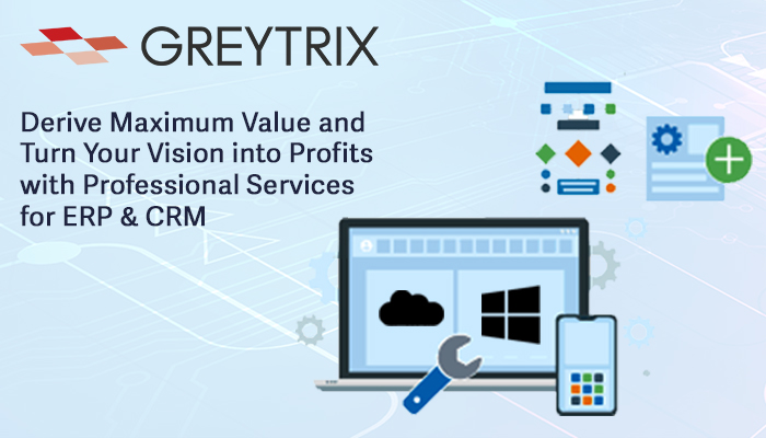 Top 3 Benefits of Greytrix Professional Services